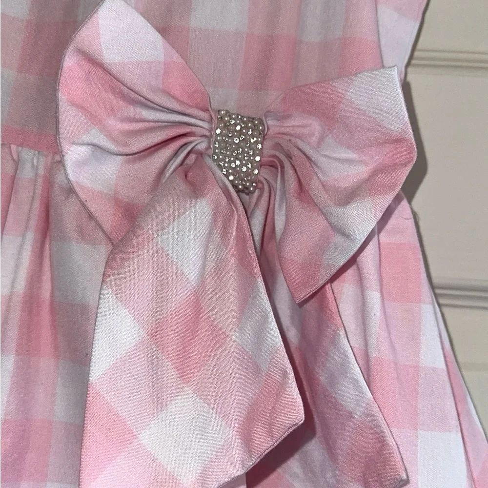 Rare Editions Girls Pink and White Gingham Dress